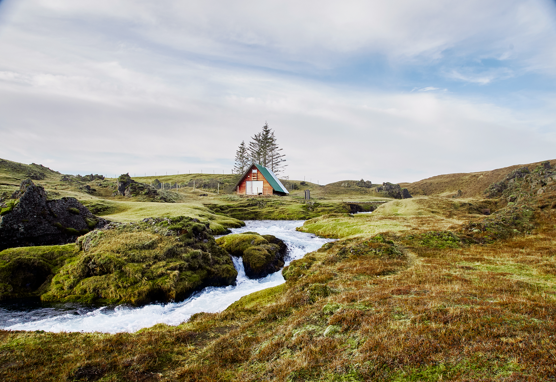 Listing_16228552_Recovery-Campaign_Social_008